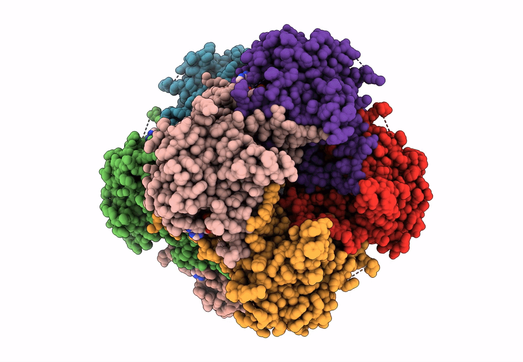 8FOZ image