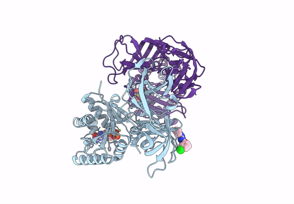 8FR3 image
