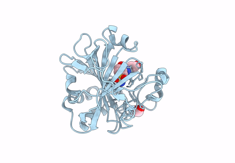 8FR4 image