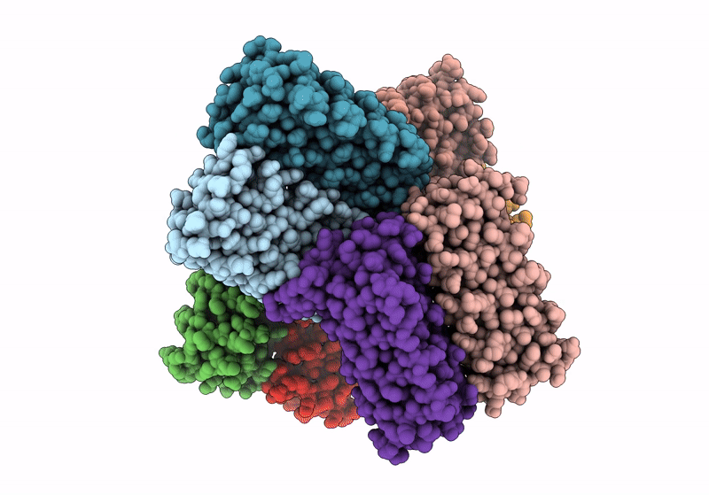 8FRF image