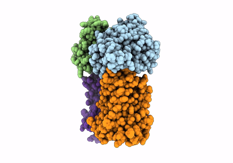 8FRP image