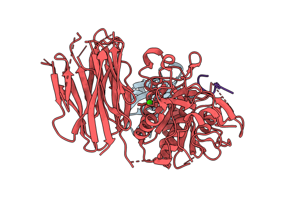 8FVM image