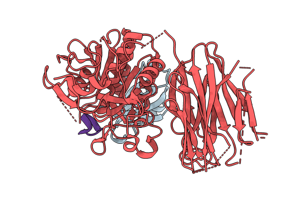 8FVN image