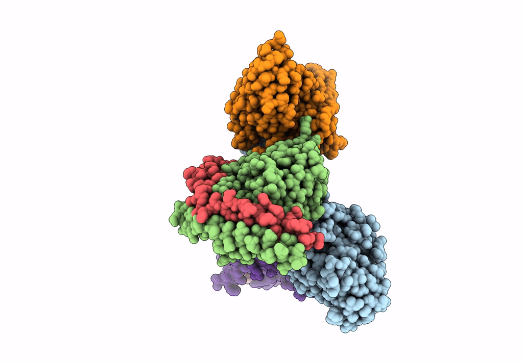 8FX5 image