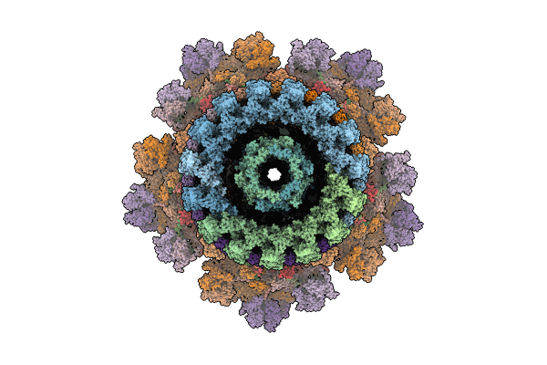 8FXR image
