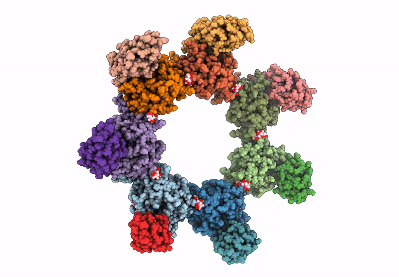 8FXZ image