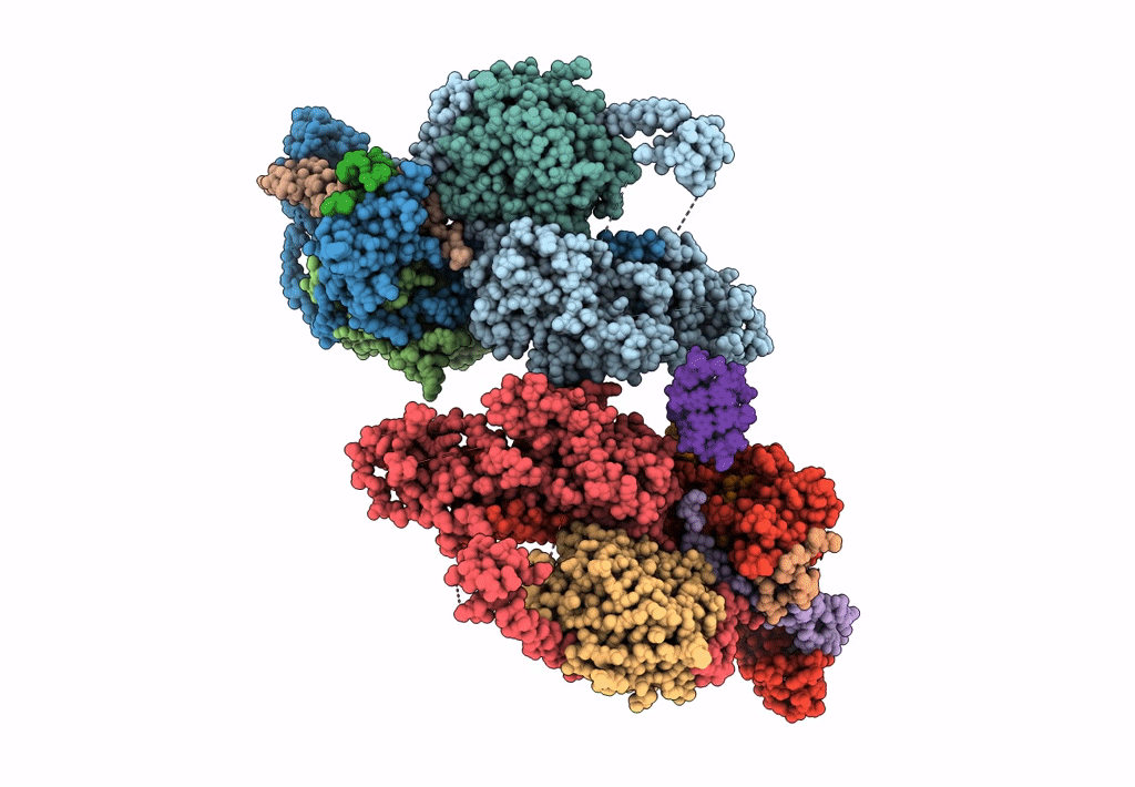 8FYH image