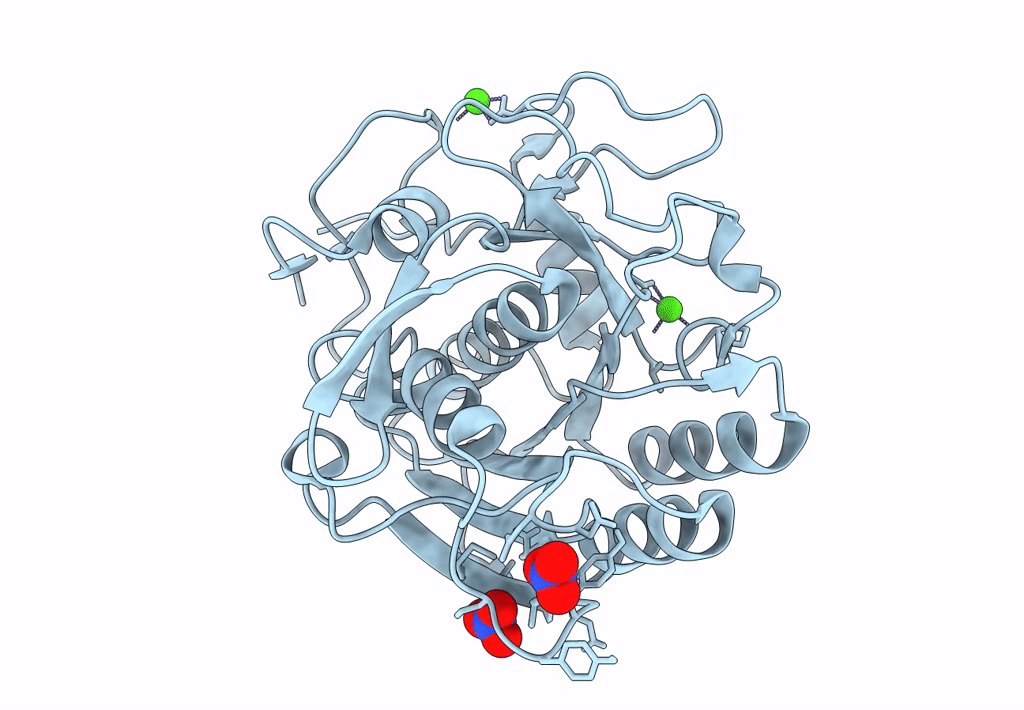 8FYP image