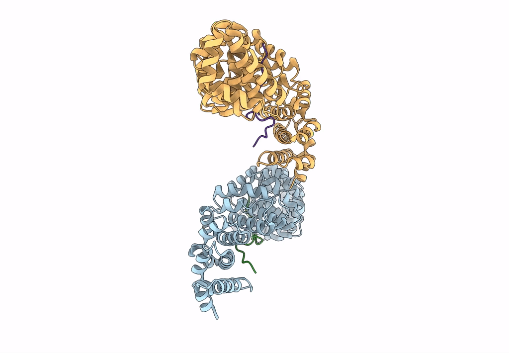 8FZM image