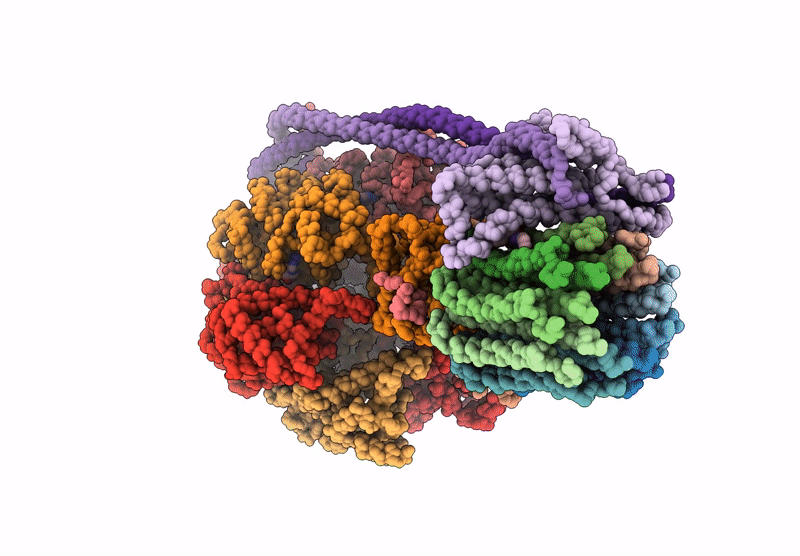 8G08 image