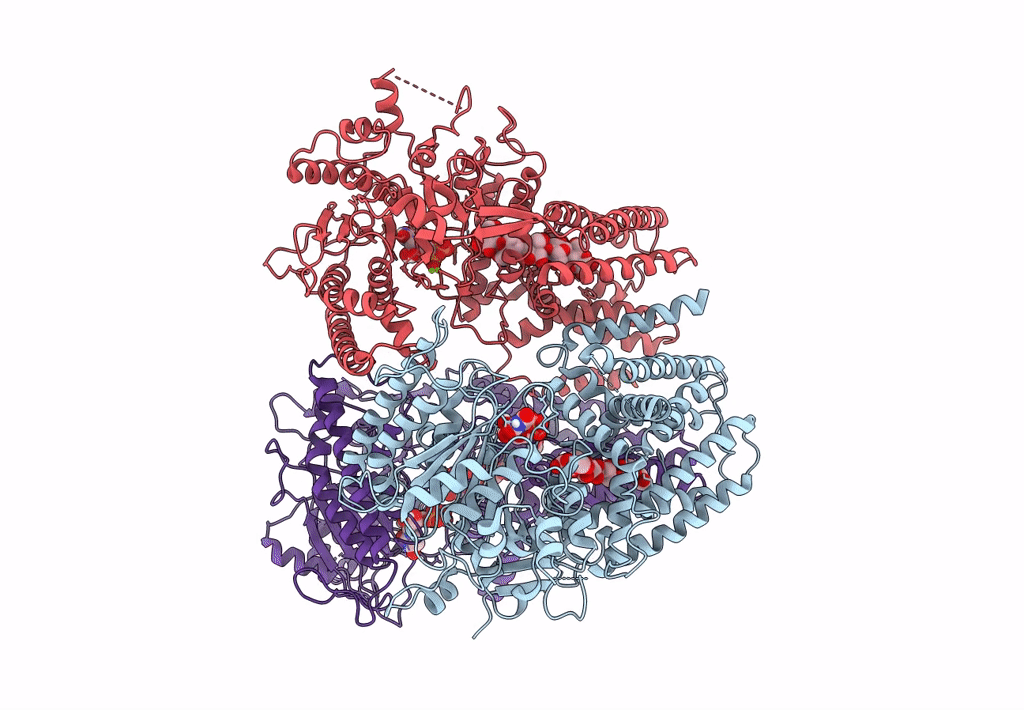 8G27 image