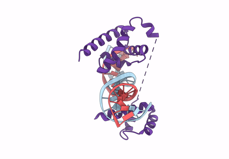 8G87 image
