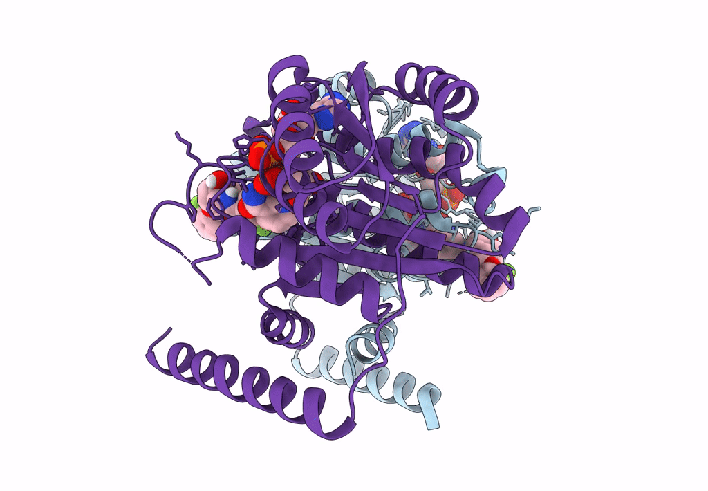 8G93 image