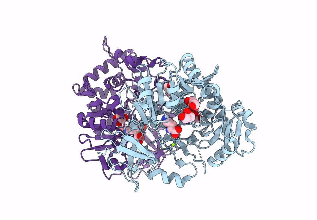 8G97 image