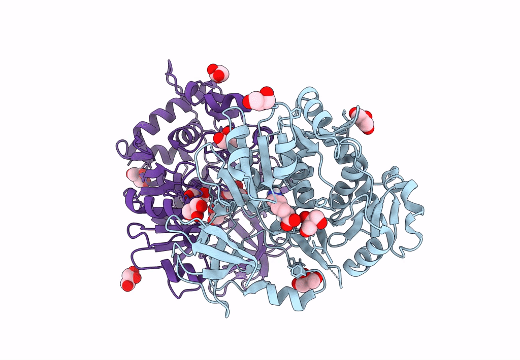 8G98 image