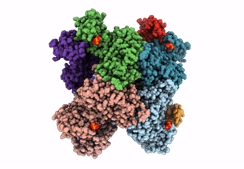 8G9B image
