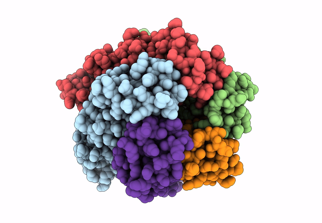 8GAQ image