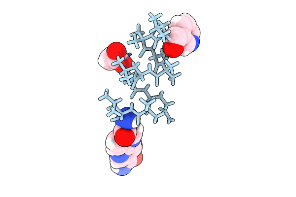 8GBM image