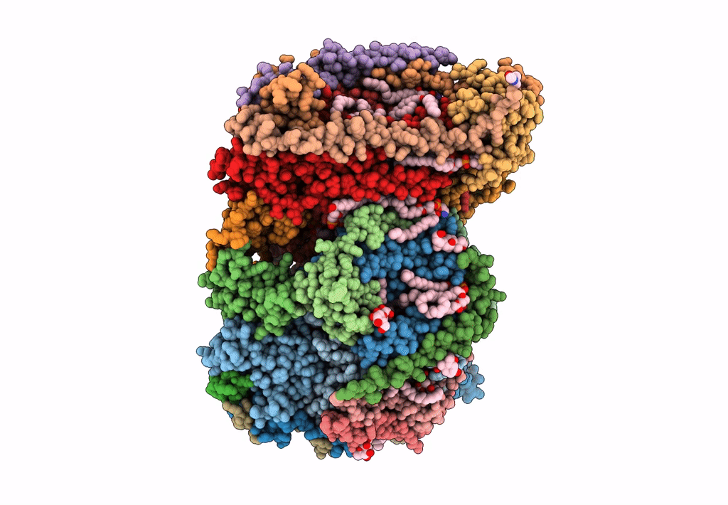 8GBT image