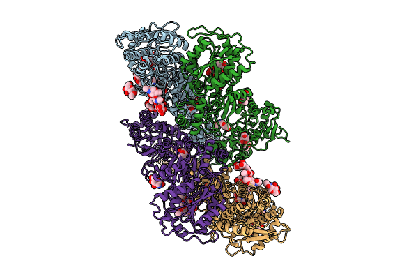 8GC2 image