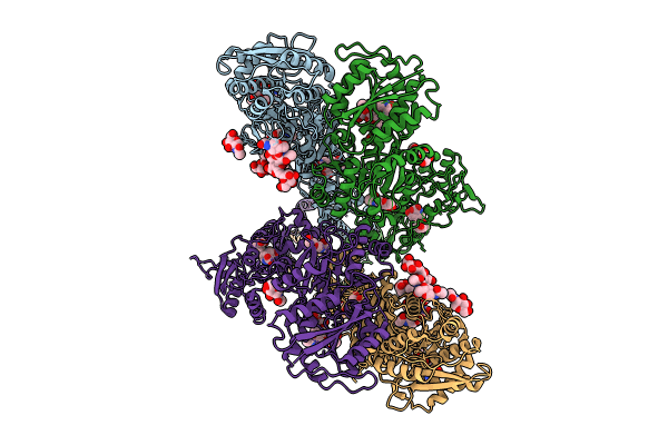 8GC5 image