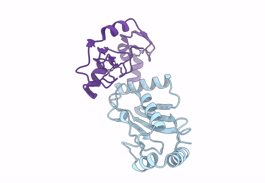 8GCB image