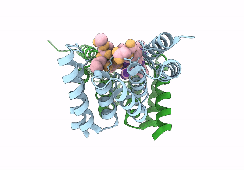 8GCK image