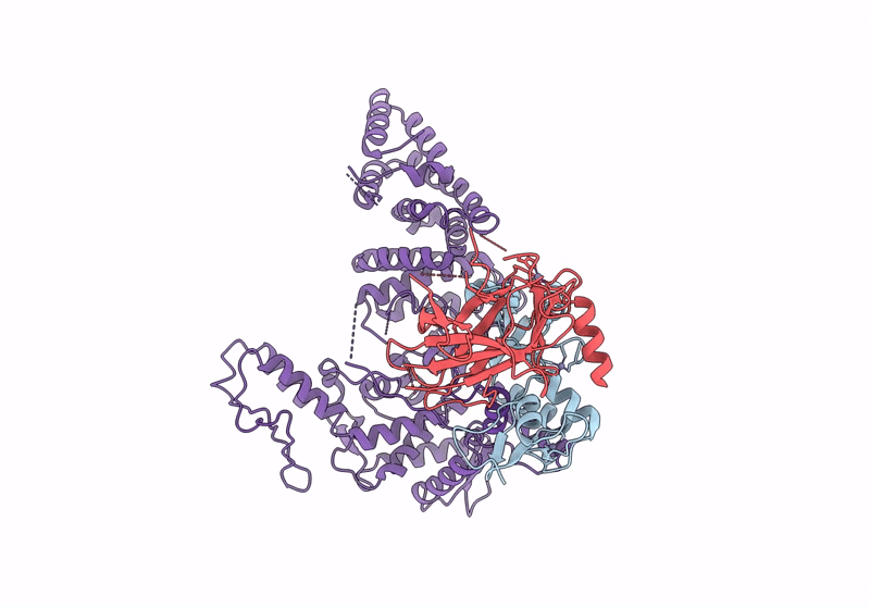 8GCR image