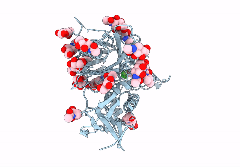 8GDK image