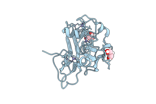 8GDX image