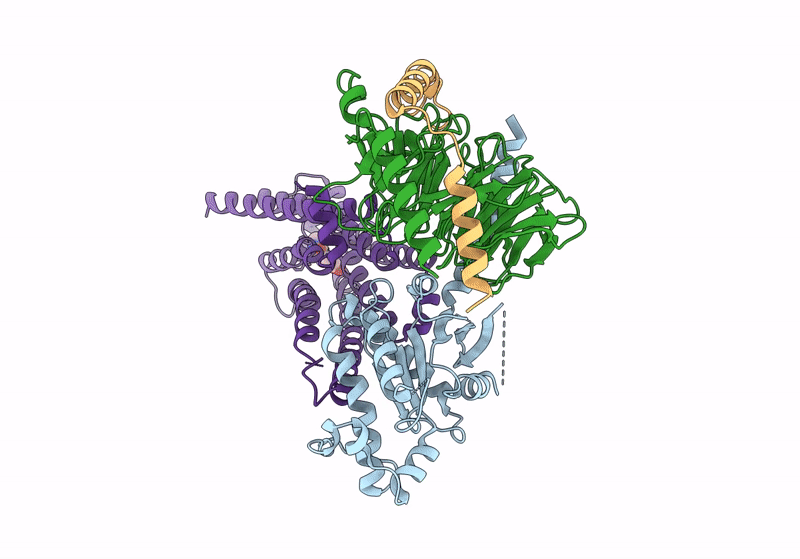 8GE2 image