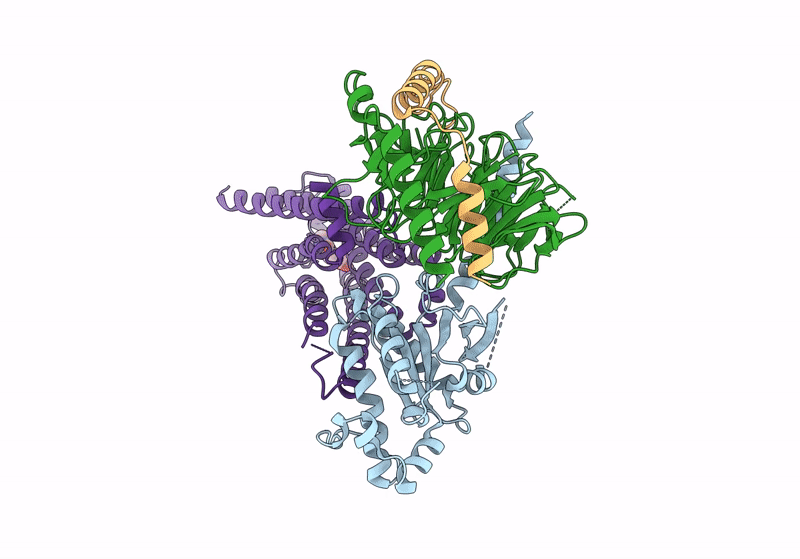 8GE5 image