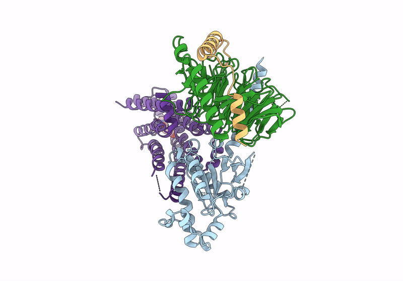8GE6 image