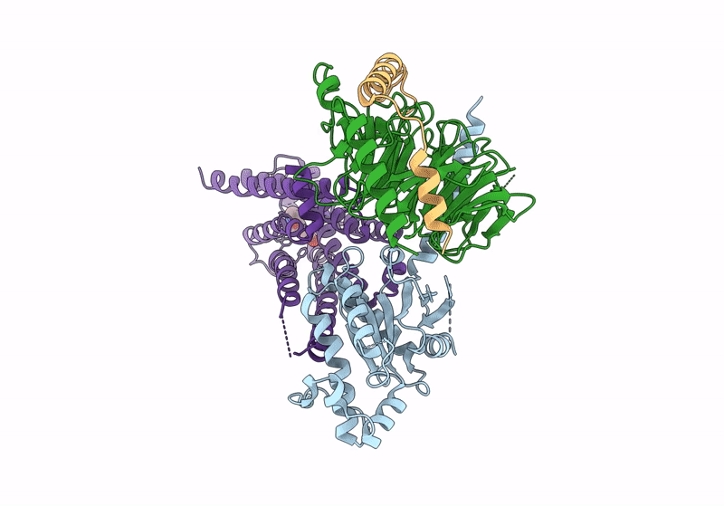 8GEB image