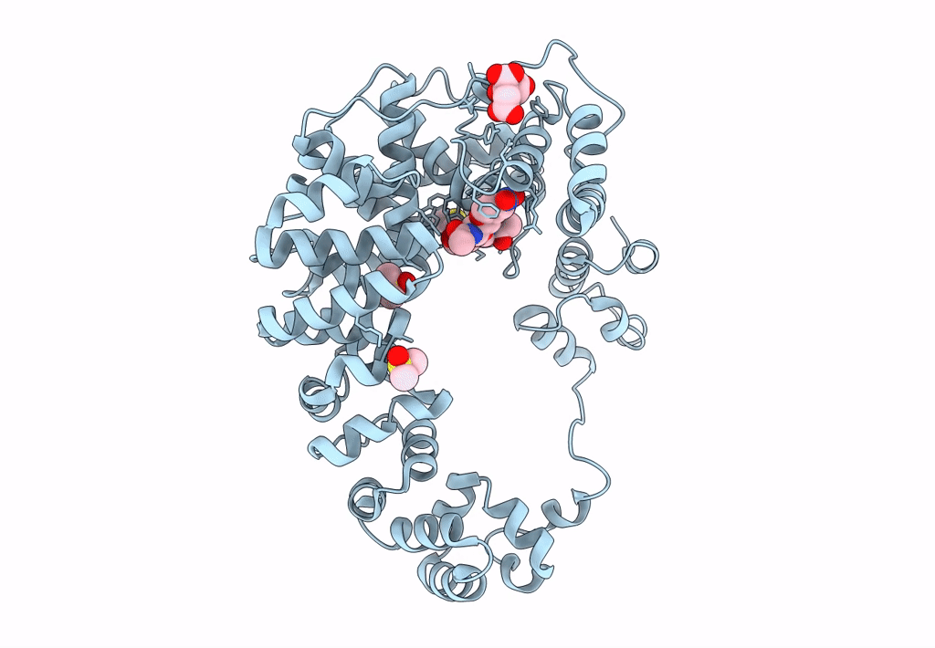 8GFL image