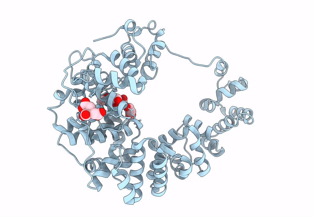 8GFP image