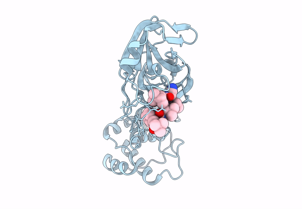 8GFR image