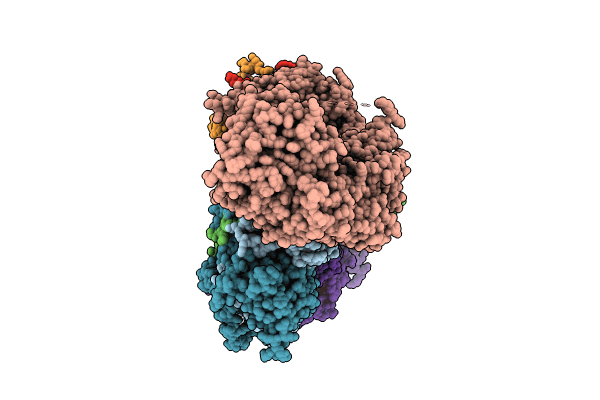 8GHL image