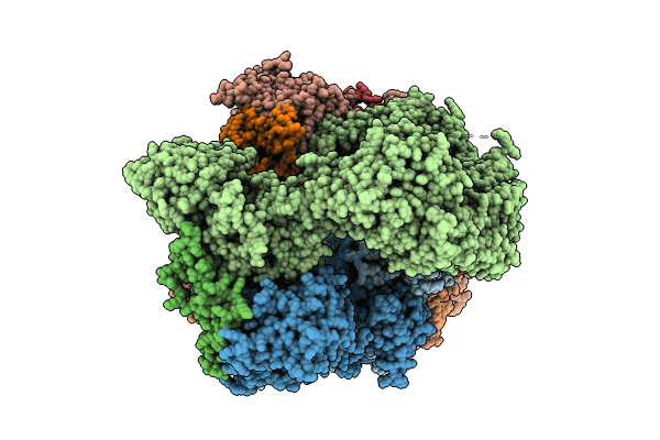 8GHN image