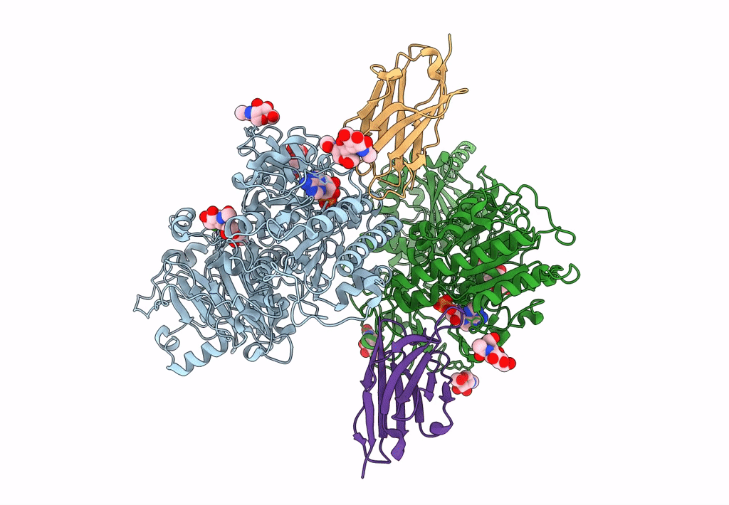 8GHR image