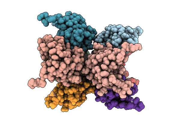 8GI4 image