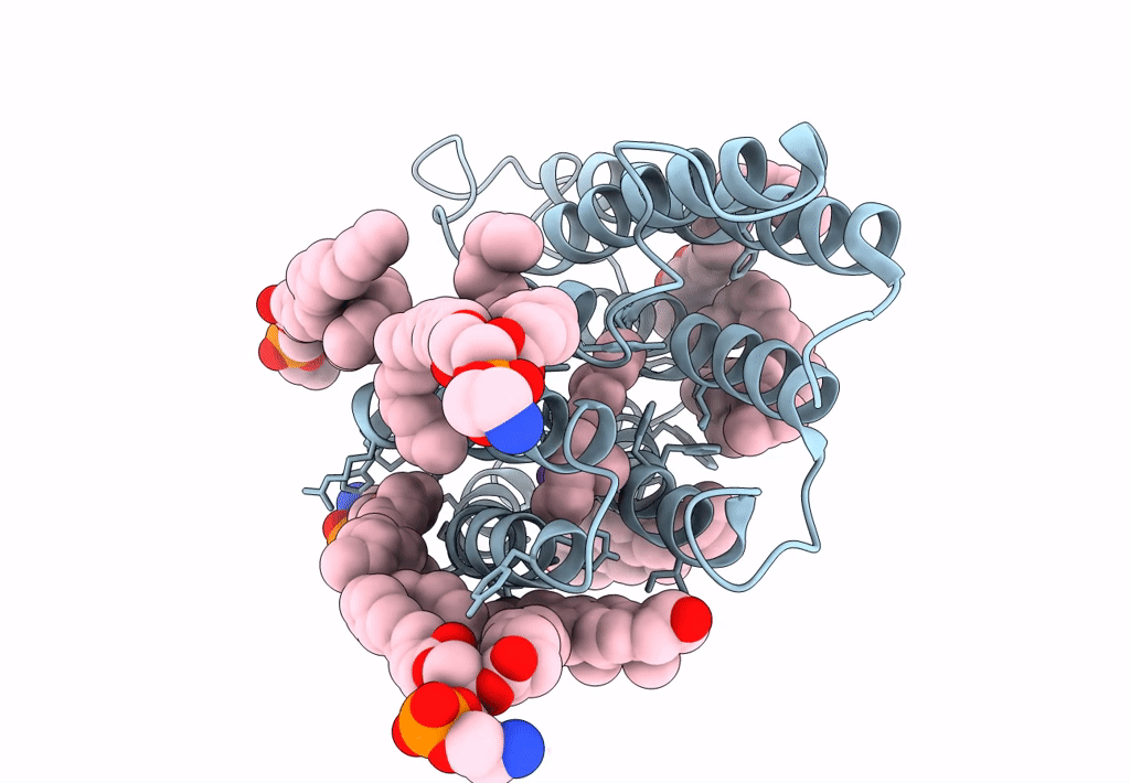 8GI8 image