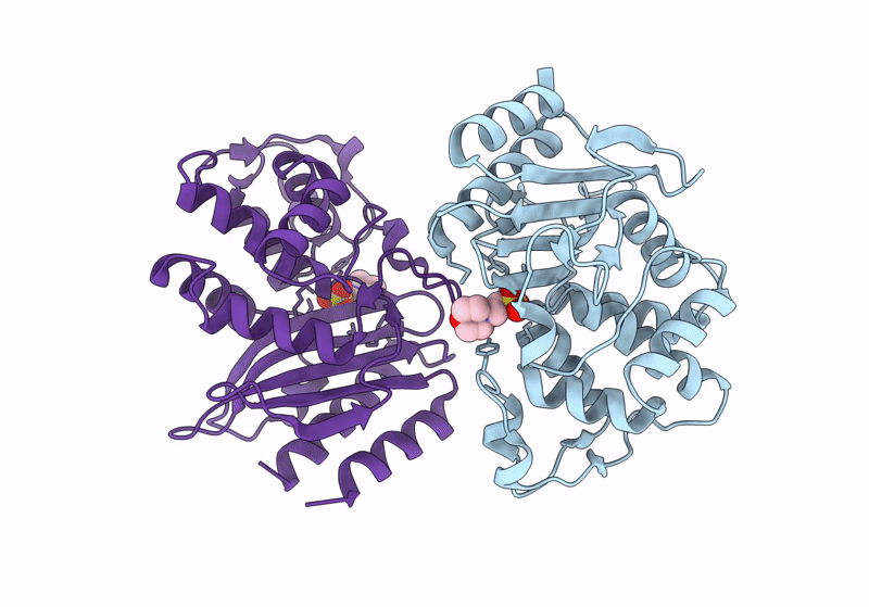 8GII image