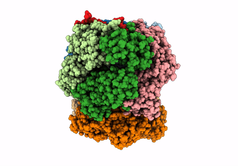 8GJ2 image