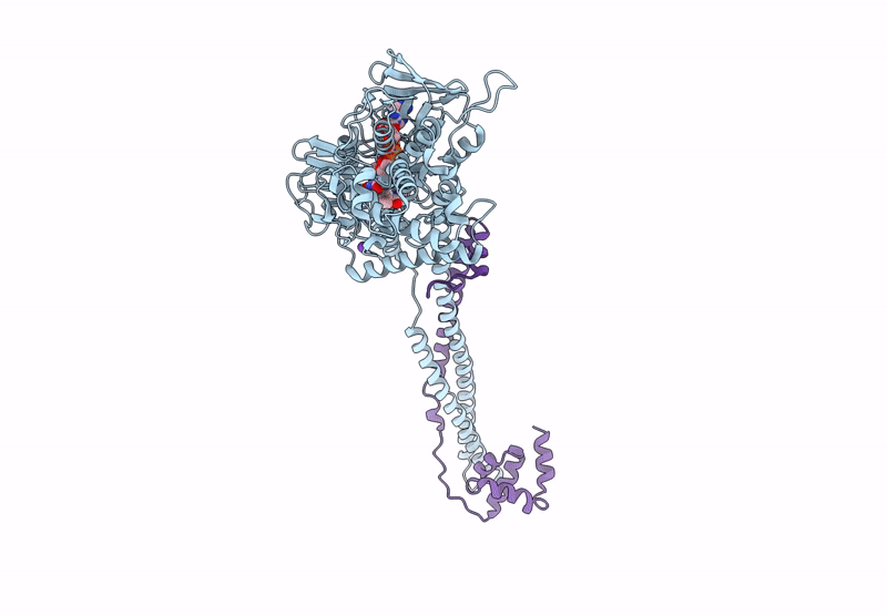 8GJ6 image