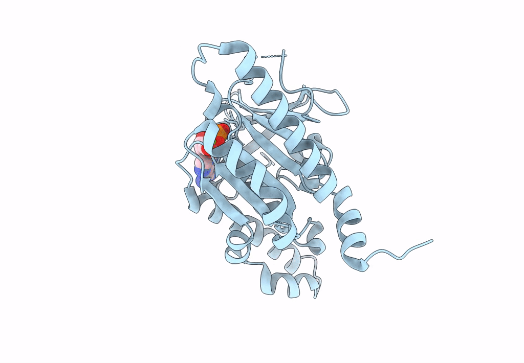 8GJ8 image