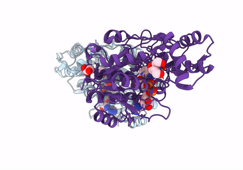 8GJB image