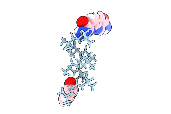 8GKB image