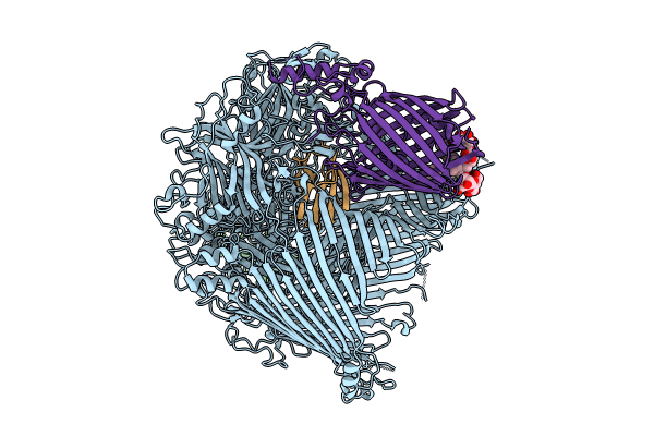 8GLK image