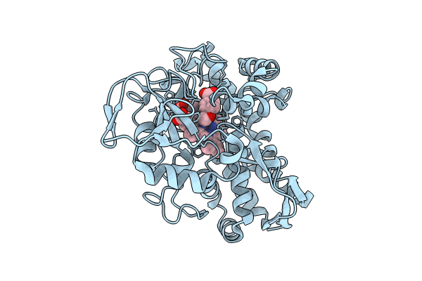 8GM2 image